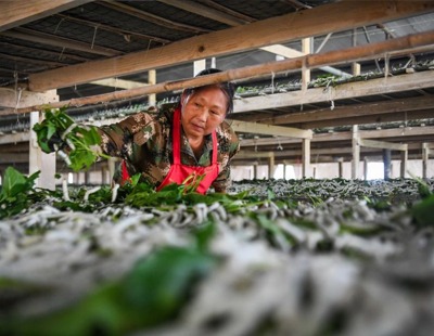 外交部:中方同立陶宛沟通的大门始终敞开,希望立方果断纠正错误