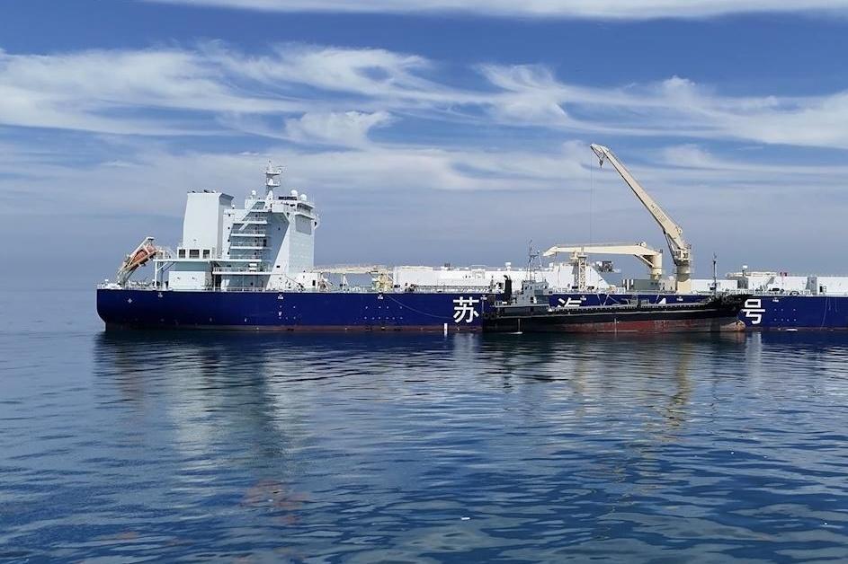 咖香飘四海 侨乡浙江青田咖啡产业提质拓市场