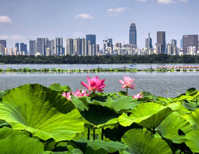 学生的母亲_大地影院免费高清电视剧大全_大地资源二中文在线观看免费高清版电影_大地资源在线观看高清更新时间_大地影院大全在线观看_大地资源8在线观看免费播放电视剧_大地资源网中文第三页的在线观看_大地资源第中文二页_大地资源在线观看高清视频播放器_大地影视中文资源6_大地资源二中文在线观看_大地3资源在线观看免费高清《一千零一夜:美女神灯》