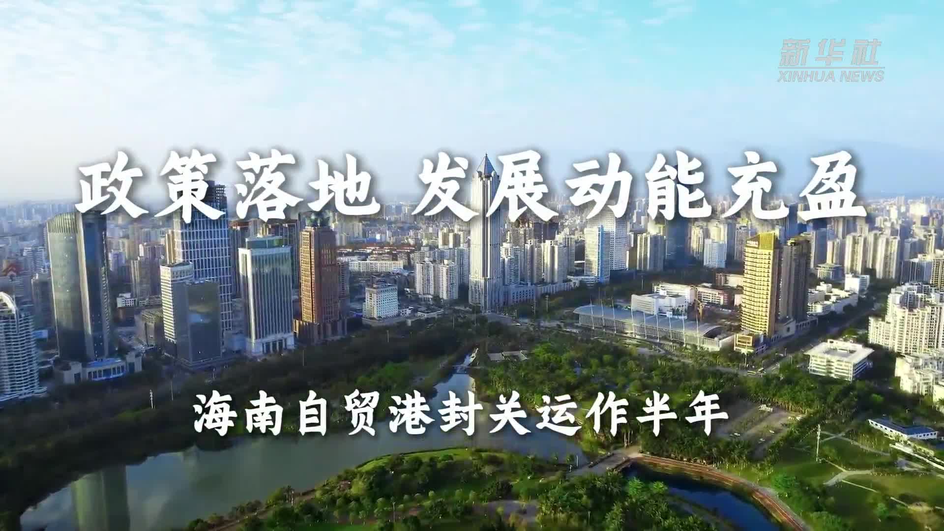 哀牢山发现全球仅千只的鸟