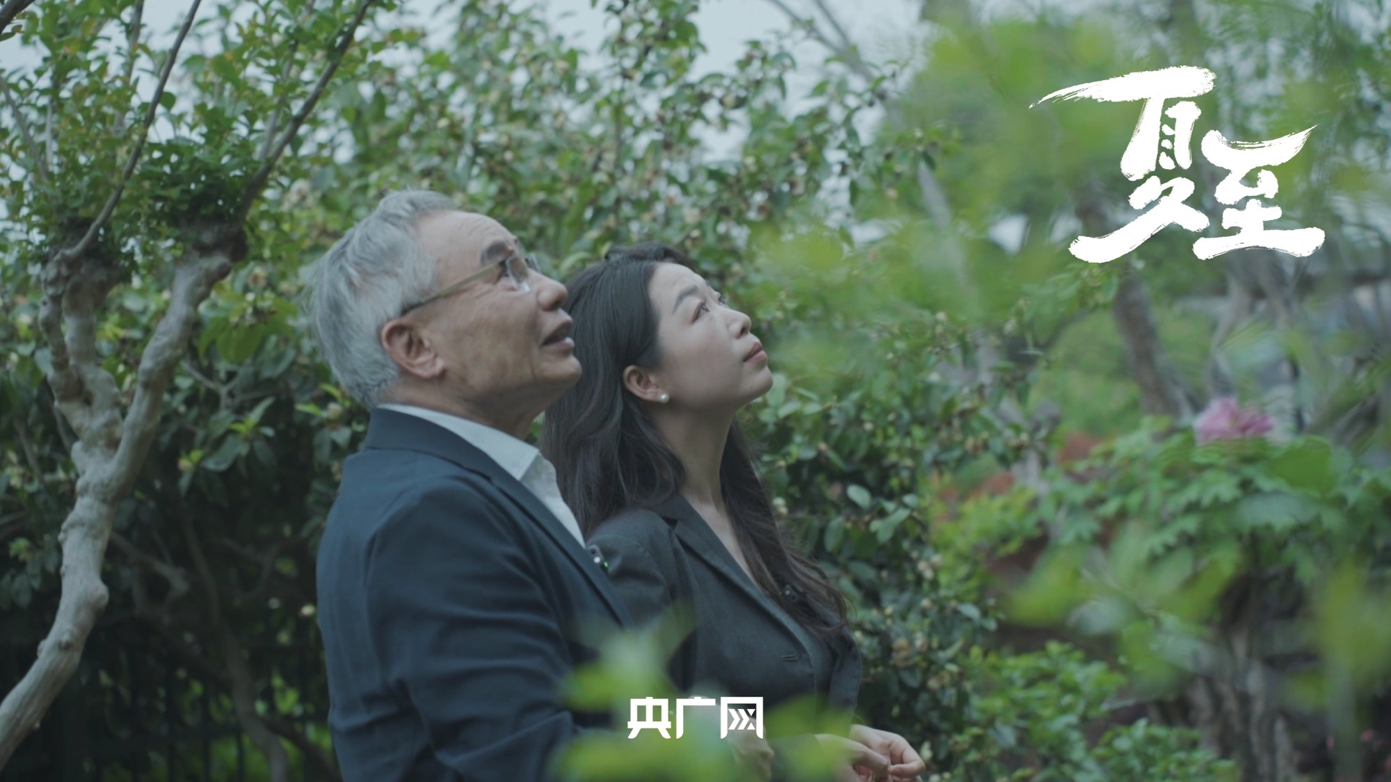 张本智和模仿樊振东模仿姆巴佩