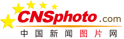 高清在线播放