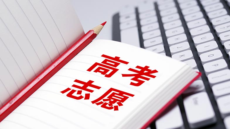 新闻多一点|抓好“三夏”生产 夯实全年丰收根基